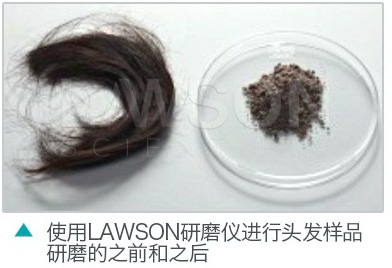 头发研磨效果.png